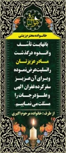 ایستاده 2 متری 409