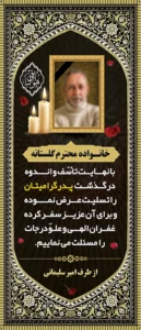ایستاده 2 متری 411