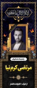 ایستاده 2 متری 417